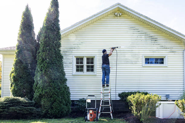 Best Exterior Home Cleaning  in Daleville, VA