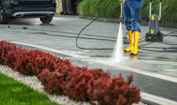 Best Local Pressure Washing Services  in Daleville, VA