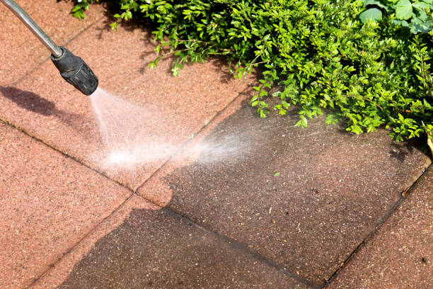 Best Power Washing Near Me  in Daleville, VA